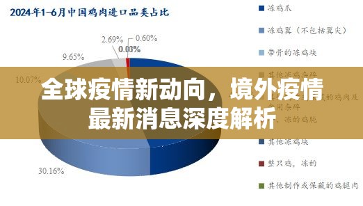 全球疫情新動向，境外疫情最新消息深度解析