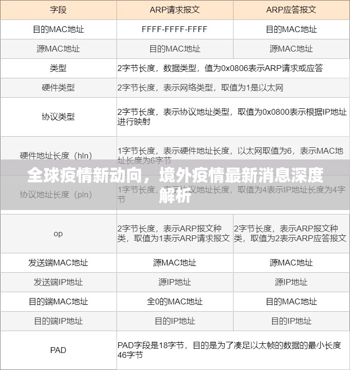 全球疫情新動(dòng)向，境外疫情最新消息深度解析