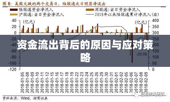 資金流出背后的原因與應(yīng)對(duì)策略