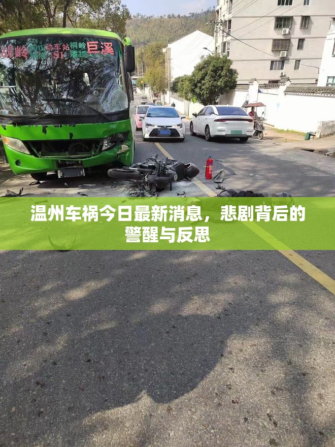 溫州車禍今日最新消息，悲劇背后的警醒與反思