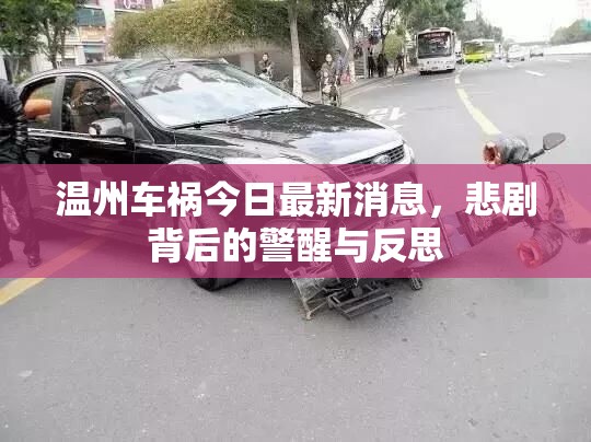 溫州車禍今日最新消息，悲劇背后的警醒與反思