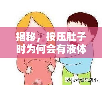 揭秘，按壓肚子時(shí)為何會(huì)有液體流出？