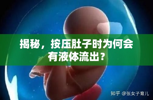 揭秘，按壓肚子時(shí)為何會(huì)有液體流出？