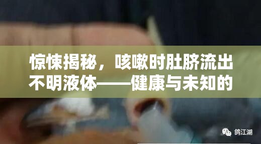 驚悚揭秘，咳嗽時肚臍流出不明液體——健康與未知的探索