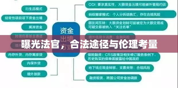 曝光法官，合法途徑與倫理考量