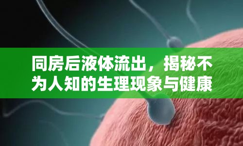 同房后液體流出，揭秘不為人知的生理現(xiàn)象與健康小知識