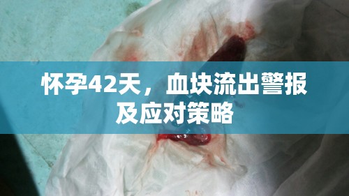 懷孕42天，血塊流出警報及應對策略