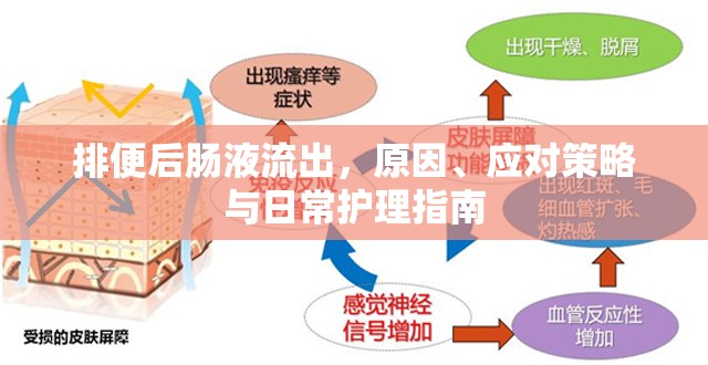 排便后腸液流出，原因、應(yīng)對(duì)策略與日常護(hù)理指南