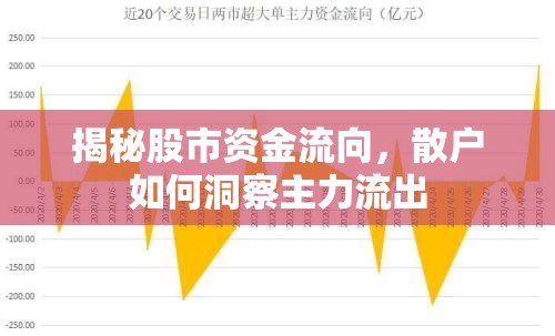 揭秘股市資金流向，散戶如何洞察主力流出