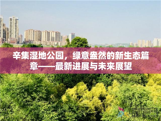 辛集濕地公園，綠意盎然的新生態(tài)篇章——最新進展與未來展望