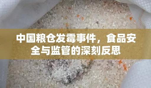 中國糧倉發(fā)霉事件，食品安全與監(jiān)管的深刻反思