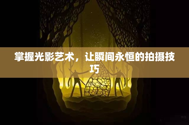 掌握光影藝術(shù)，讓瞬間永恒的拍攝技巧