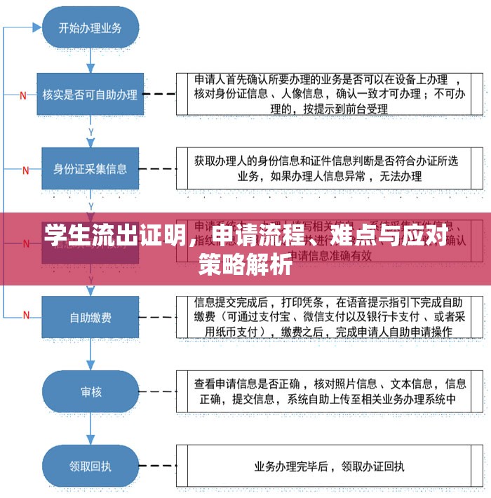 學(xué)生流出證明，申請(qǐng)流程、難點(diǎn)與應(yīng)對(duì)策略解析