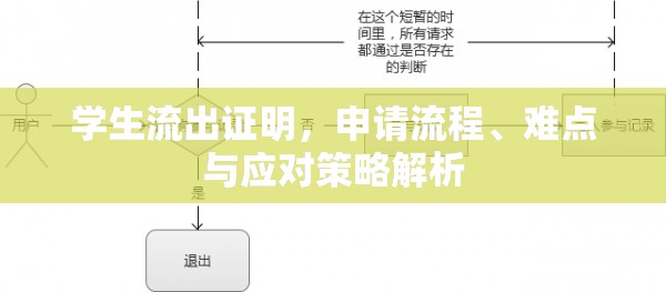 學(xué)生流出證明，申請(qǐng)流程、難點(diǎn)與應(yīng)對(duì)策略解析