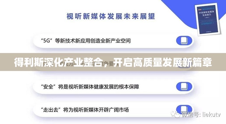 得利斯深化產(chǎn)業(yè)整合，開啟高質量發(fā)展新篇章