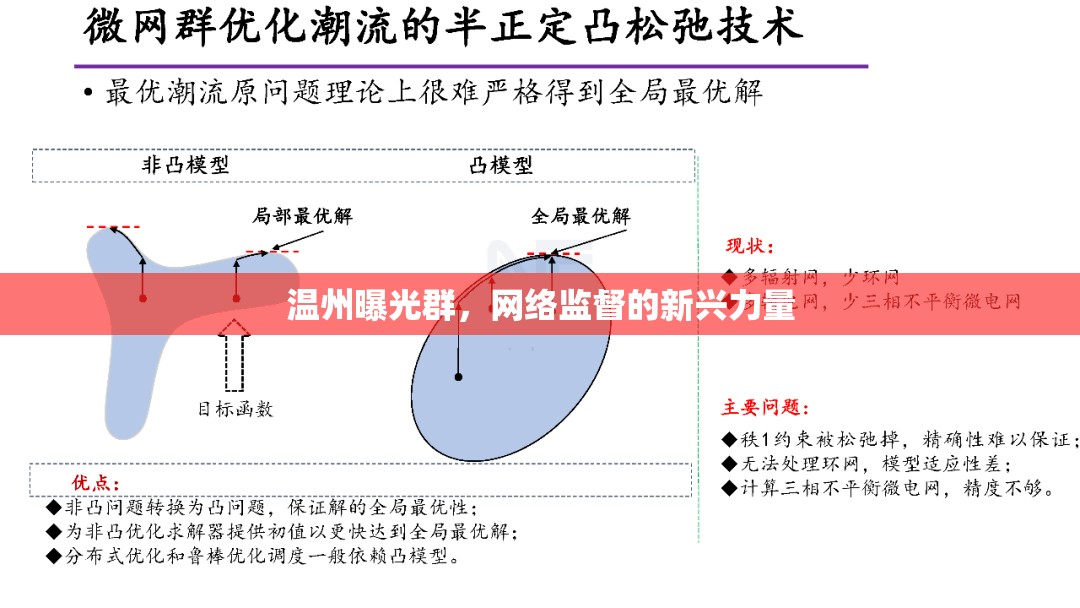 溫州曝光群，網(wǎng)絡(luò)監(jiān)督的新興力量