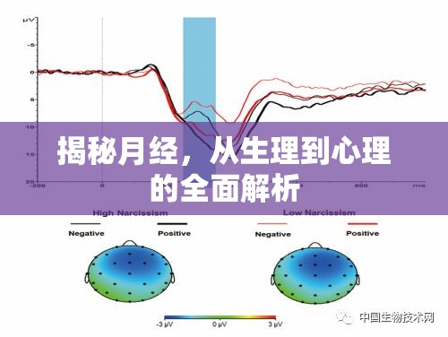 揭秘月經(jīng)，從生理到心理的全面解析