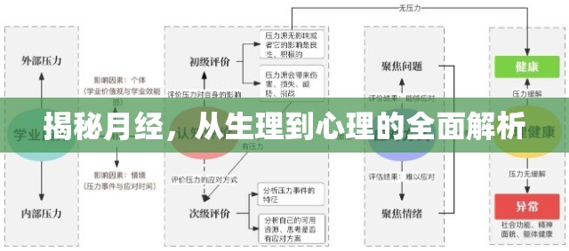 揭秘月經(jīng)，從生理到心理的全面解析