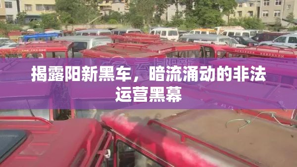 揭露陽新黑車，暗流涌動的非法運營黑幕