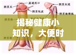 揭秘健康小知識，大便時陰莖流出透明粘液的原因與影響