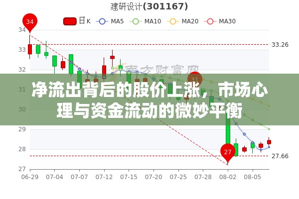 凈流出背后的股價上漲，市場心理與資金流動的微妙平衡