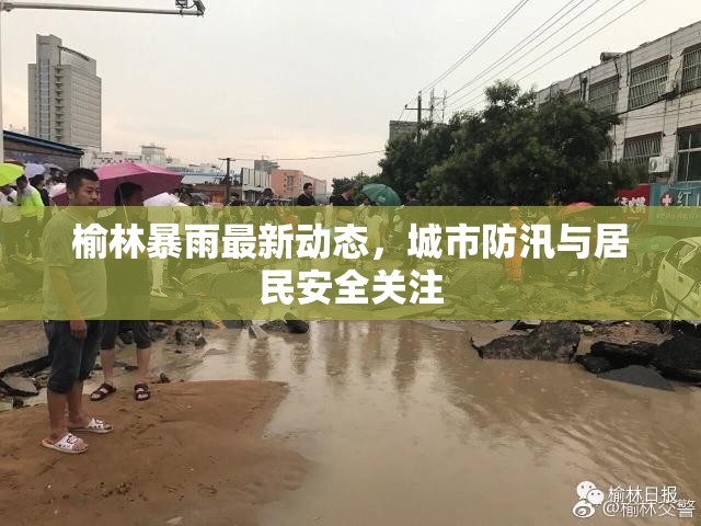 榆林暴雨最新動態(tài)，城市防汛與居民安全關(guān)注