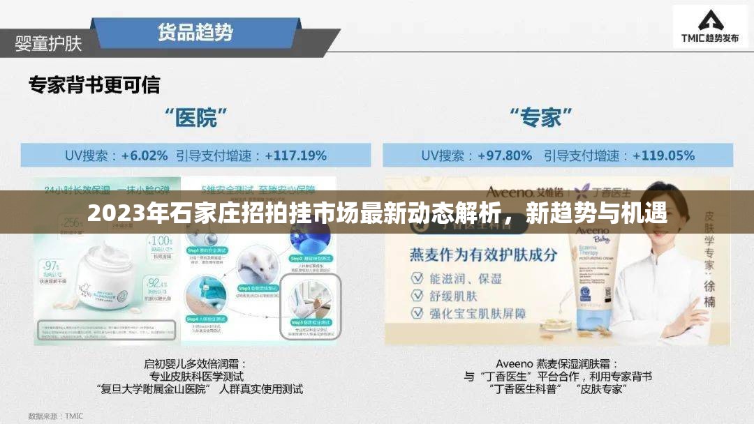 2023年石家莊招拍掛市場最新動態(tài)解析，新趨勢與機遇