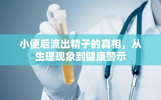 小便后流出精子的真相，從生理現(xiàn)象到健康警示