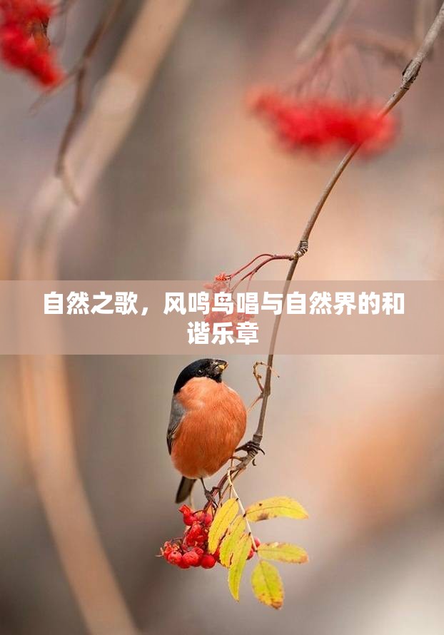 自然之歌，風(fēng)鳴鳥唱與自然界的和諧樂章