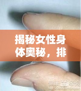 揭秘女性身體奧秘，排卵期水樣分泌物的科學解釋