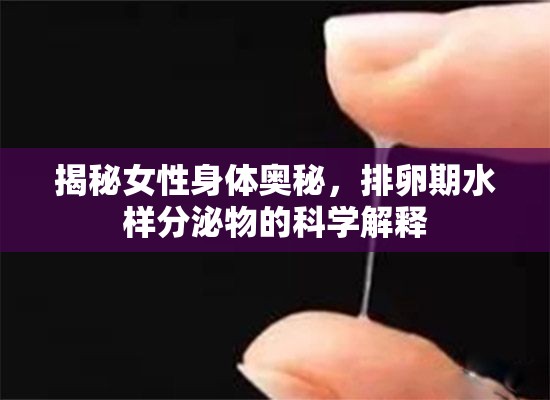 揭秘女性身體奧秘，排卵期水樣分泌物的科學解釋