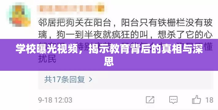 學校曝光視頻，揭示教育背后的真相與深思