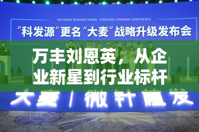 萬豐劉恩英，從企業(yè)新星到行業(yè)標(biāo)桿——最新動(dòng)態(tài)與影響分析