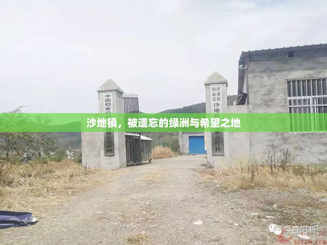 沙地鎮(zhèn)，被遺忘的綠洲與希望之地