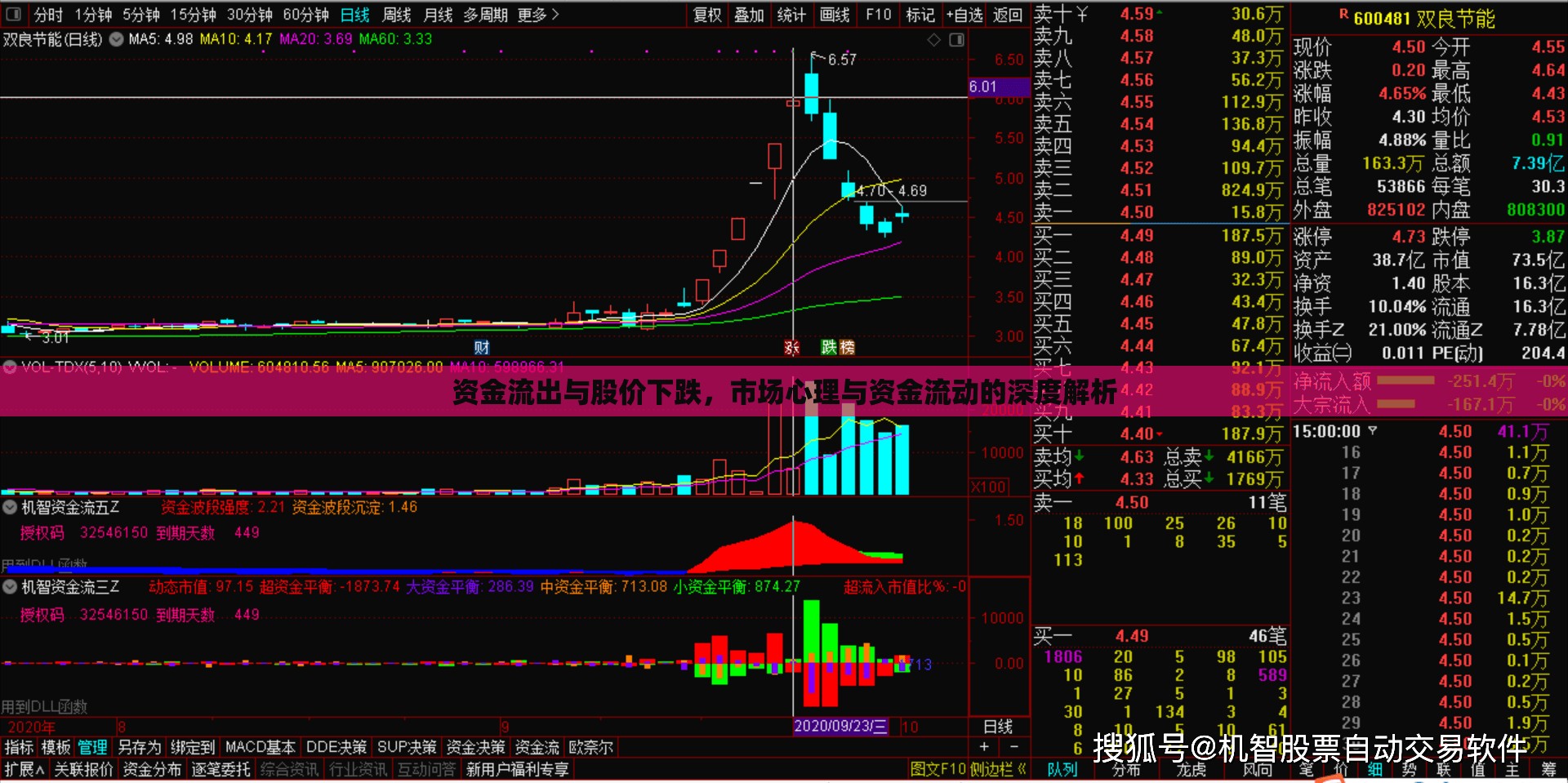 資金流出與股價下跌，市場心理與資金流動的深度解析