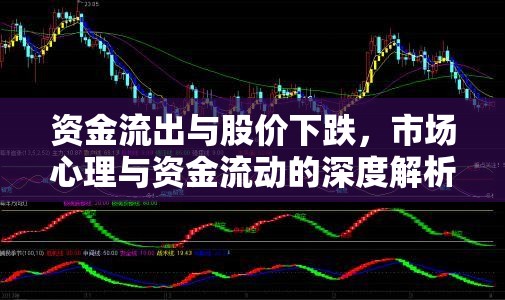 資金流出與股價下跌，市場心理與資金流動的深度解析