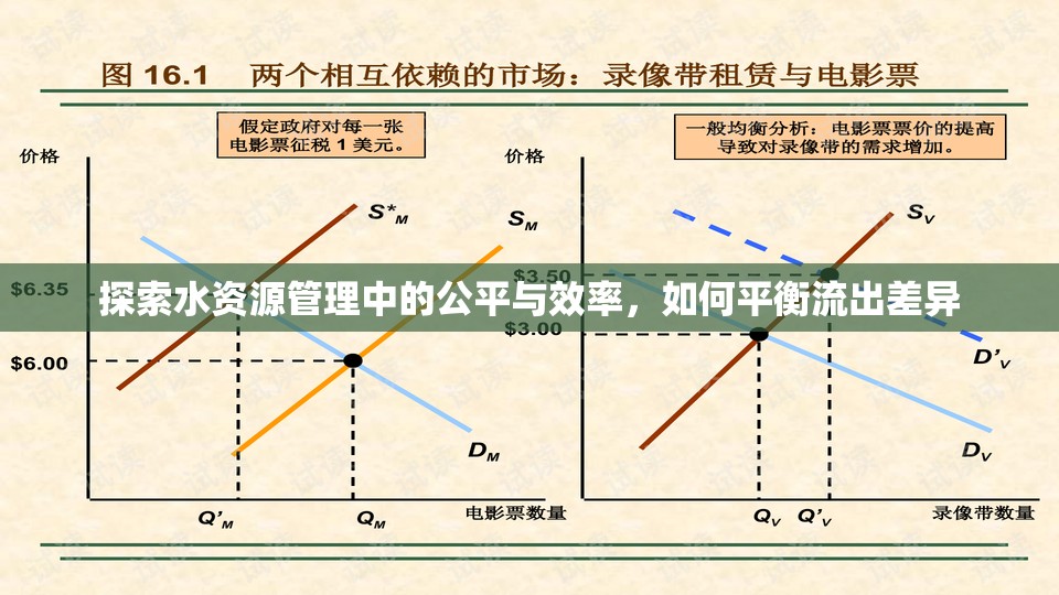 探索水資源管理中的公平與效率，如何平衡流出差異