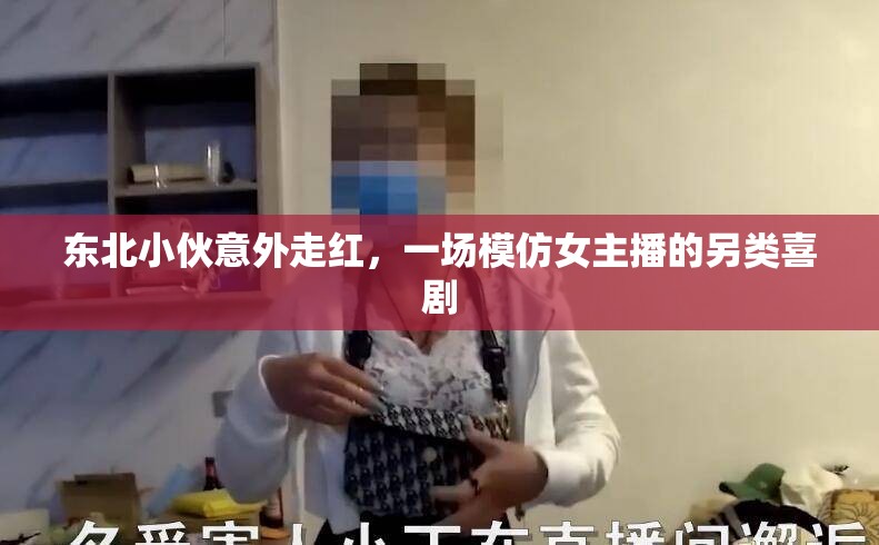 東北小伙意外走紅，一場模仿女主播的另類喜劇