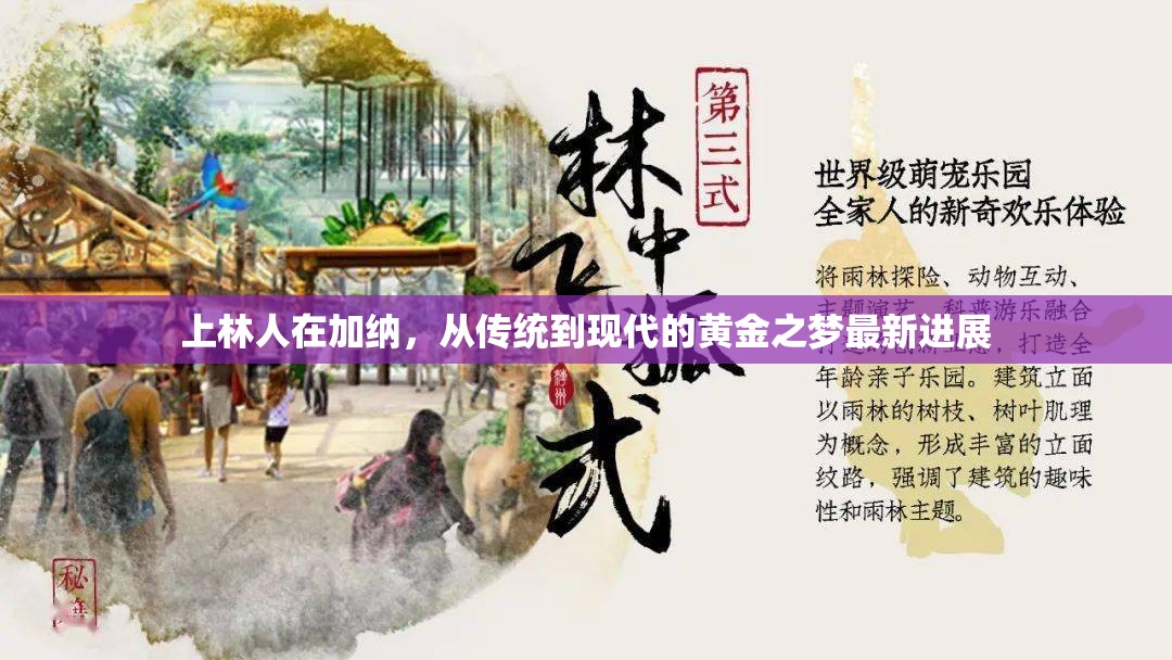 上林人在加納，從傳統(tǒng)到現(xiàn)代的黃金之夢最新進展