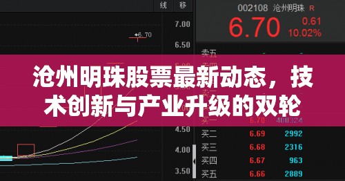 滄州明珠股票最新動態(tài)，技術(shù)創(chuàng)新與產(chǎn)業(yè)升級的雙輪驅(qū)動策略