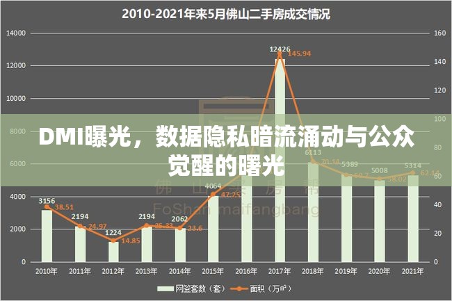 DMI曝光，數(shù)據(jù)隱私暗流涌動與公眾覺醒的曙光