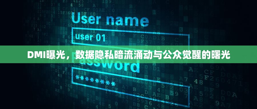 DMI曝光，數(shù)據(jù)隱私暗流涌動與公眾覺醒的曙光