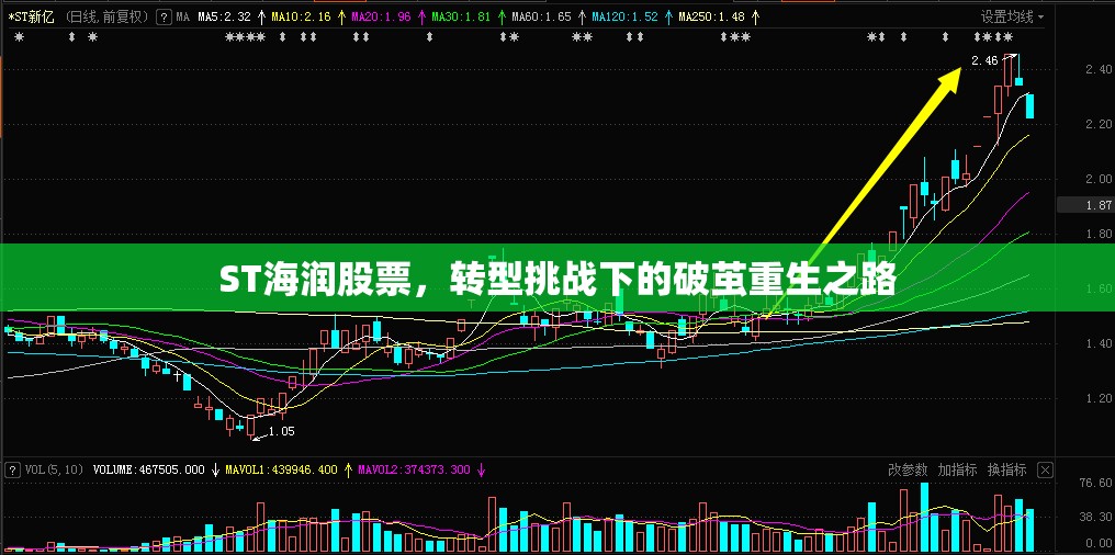 ST海潤股票，轉(zhuǎn)型挑戰(zhàn)下的破繭重生之路