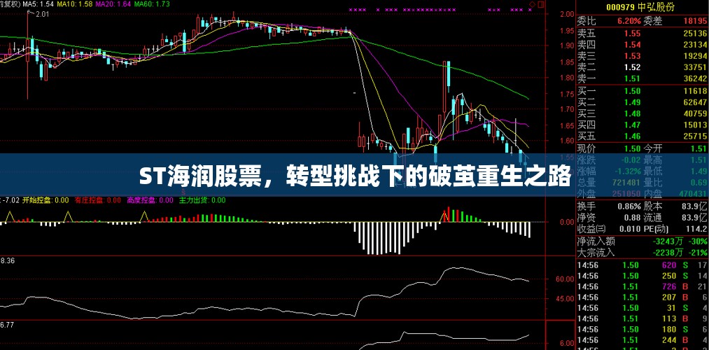 ST海潤股票，轉(zhuǎn)型挑戰(zhàn)下的破繭重生之路