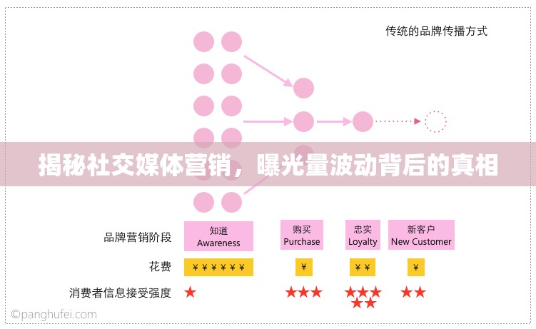 揭秘社交媒體營銷，曝光量波動背后的真相