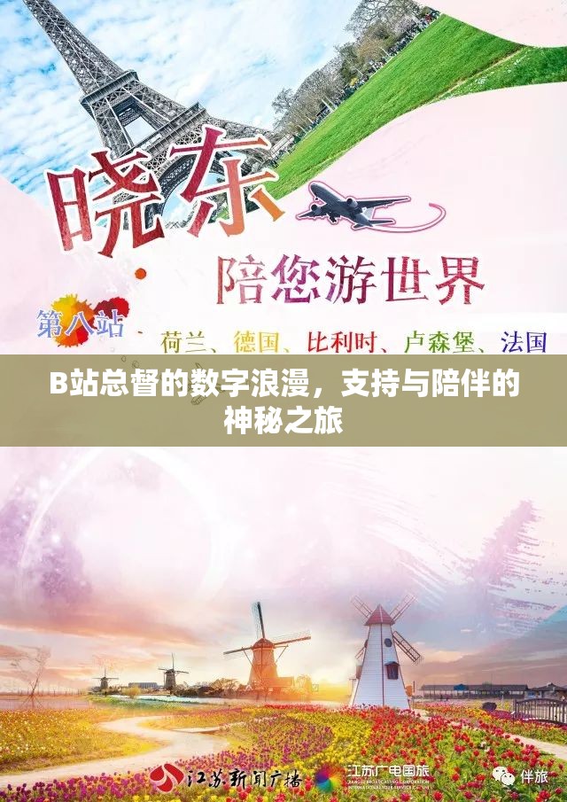 B站總督的數(shù)字浪漫，支持與陪伴的神秘之旅