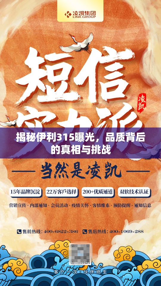 揭秘伊利315曝光，品質(zhì)背后的真相與挑戰(zhàn)