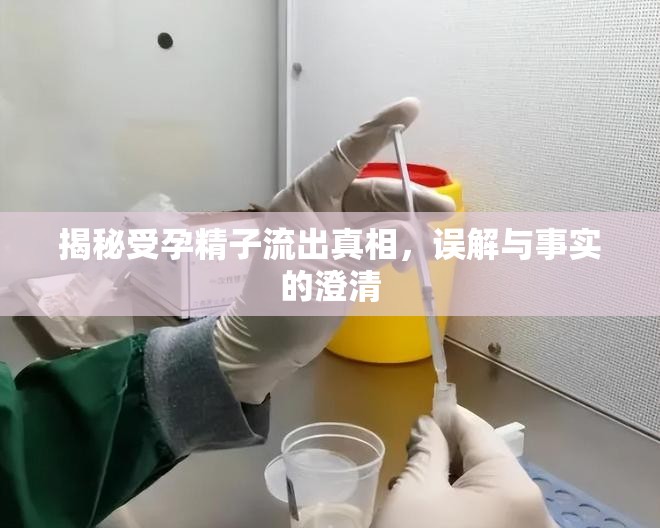 揭秘受孕精子流出真相，誤解與事實(shí)的澄清