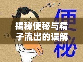 揭秘便秘與精子流出的誤解，科學(xué)解析與健康指南