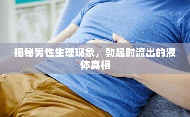 揭秘男性生理現(xiàn)象，勃起時(shí)流出的液體真相